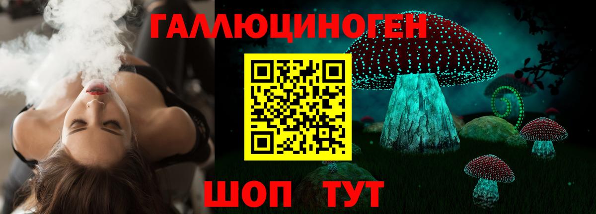 Псилоцибиновые грибы мухоморы  Вход с VPN  Курганинск 